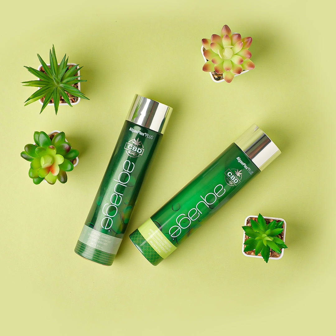 Now Available At Ulta! – Aquage Cbd